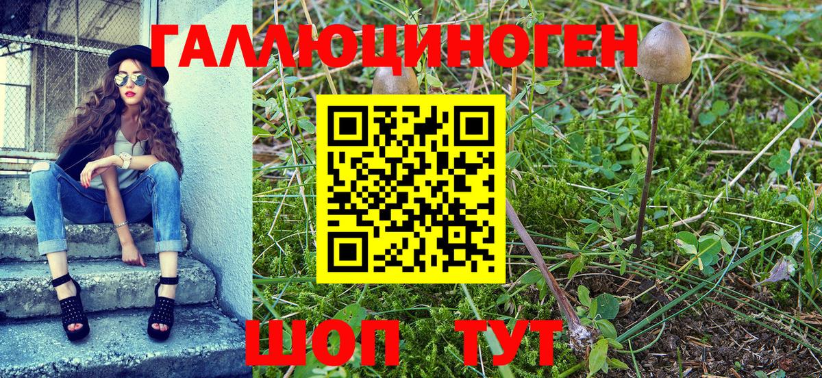 Галлюциногенные грибы прущие грибы  Псилоцибиновые грибы Psilocybine cubensis  Трёхгорный  Вход с VPN 